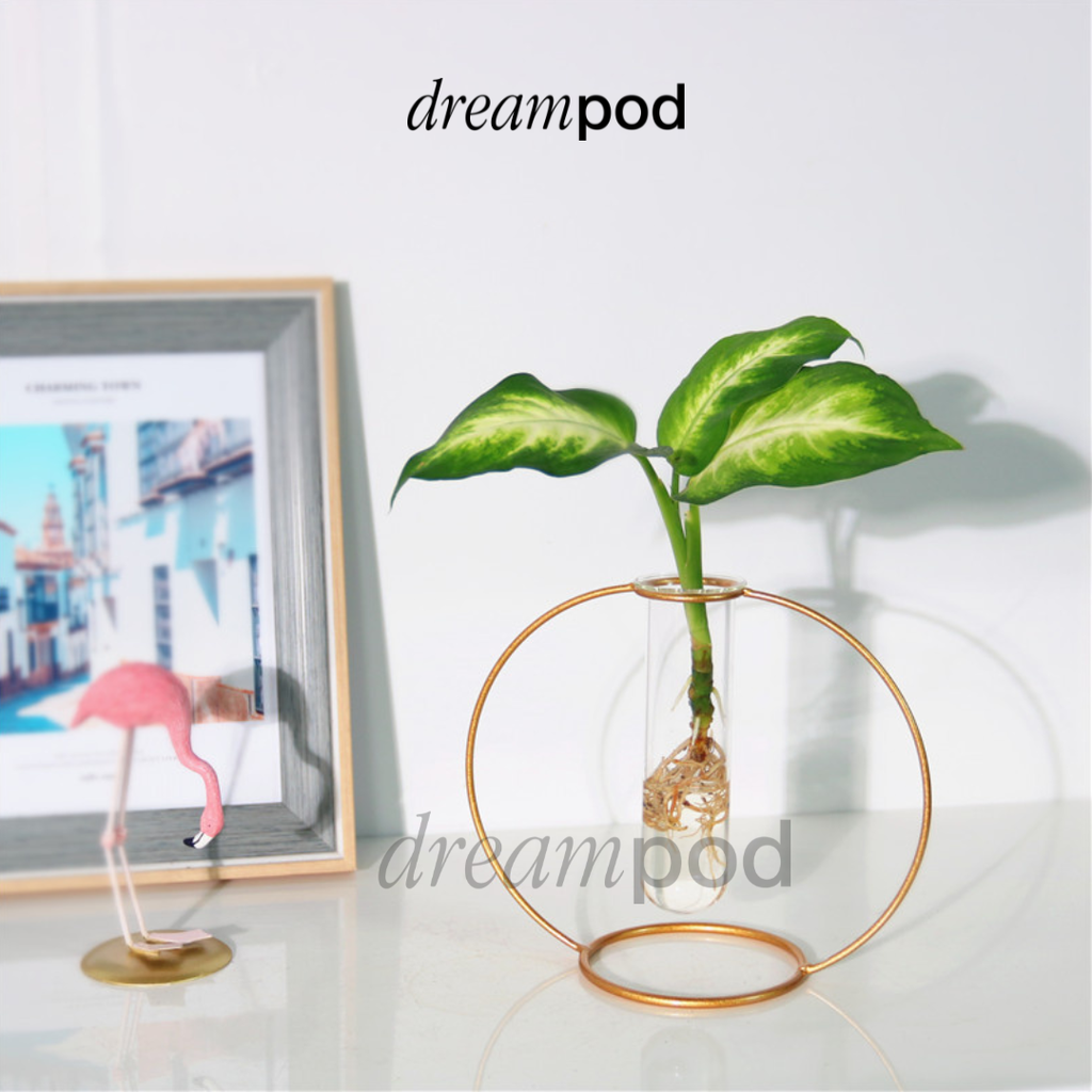 Dreampod SS Floating Flower Vase